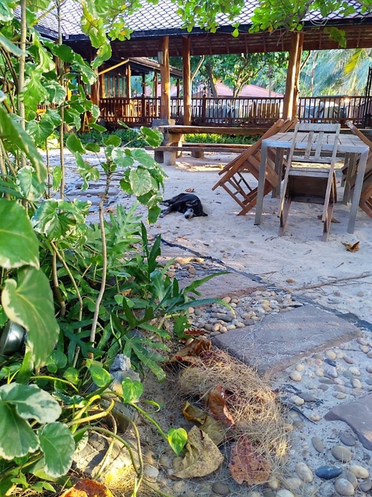 Phuket Sandbox Nai Yang Beach