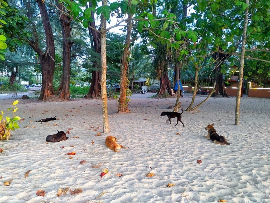Phuket Sandbox Nai Yang Beach