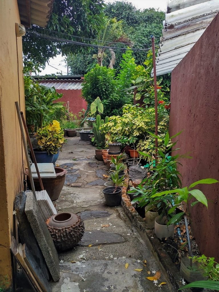 Forest bungalows Phuket