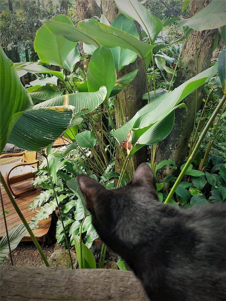 Chuen Chom Cafe & Restaurant