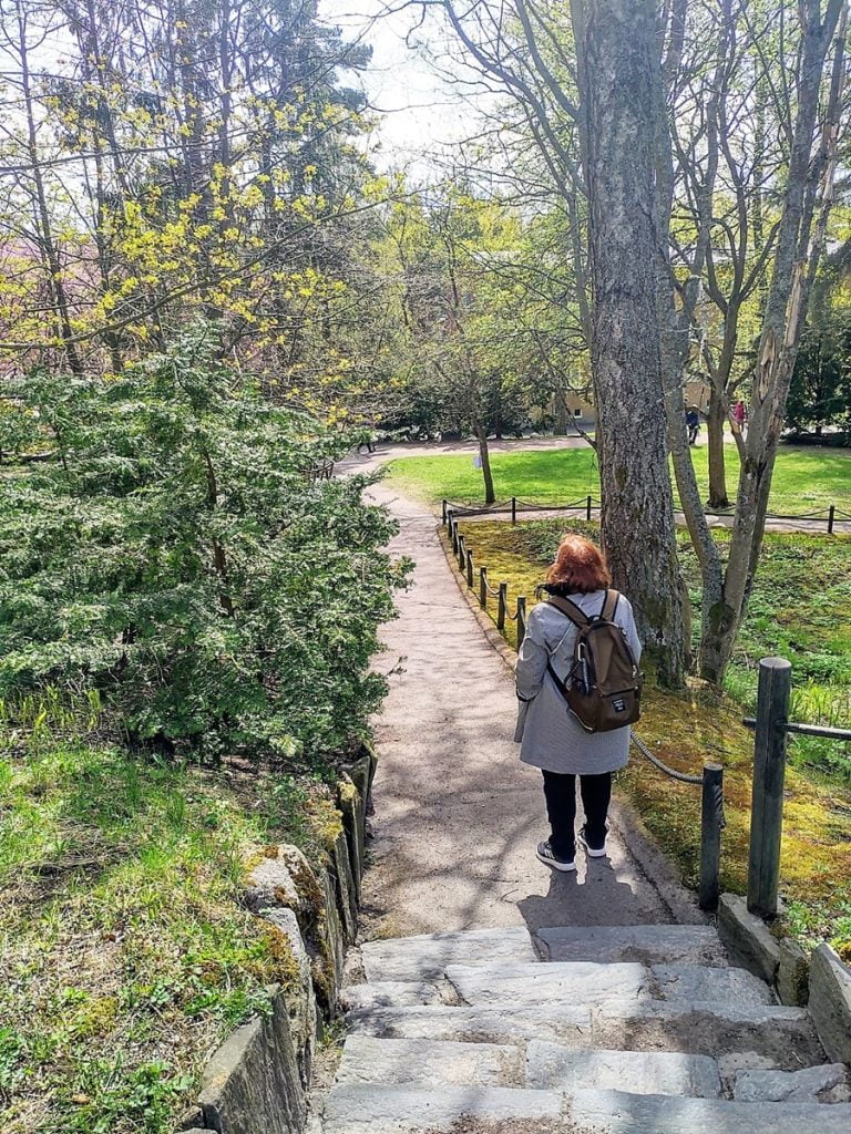 Kirsikankukkien aikaan - Roihuvuoren kirsikkapuisto ja japanilainen puisto