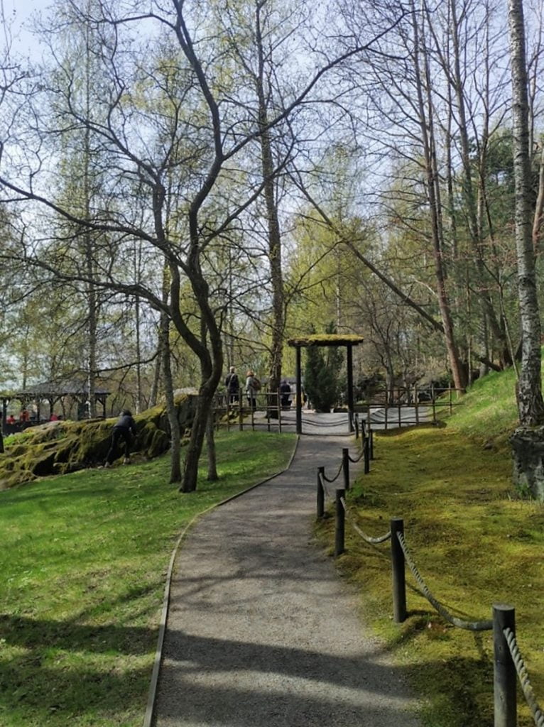 Kirsikankukkien aikaan - Roihuvuoren kirsikkapuisto ja japanilainen puisto