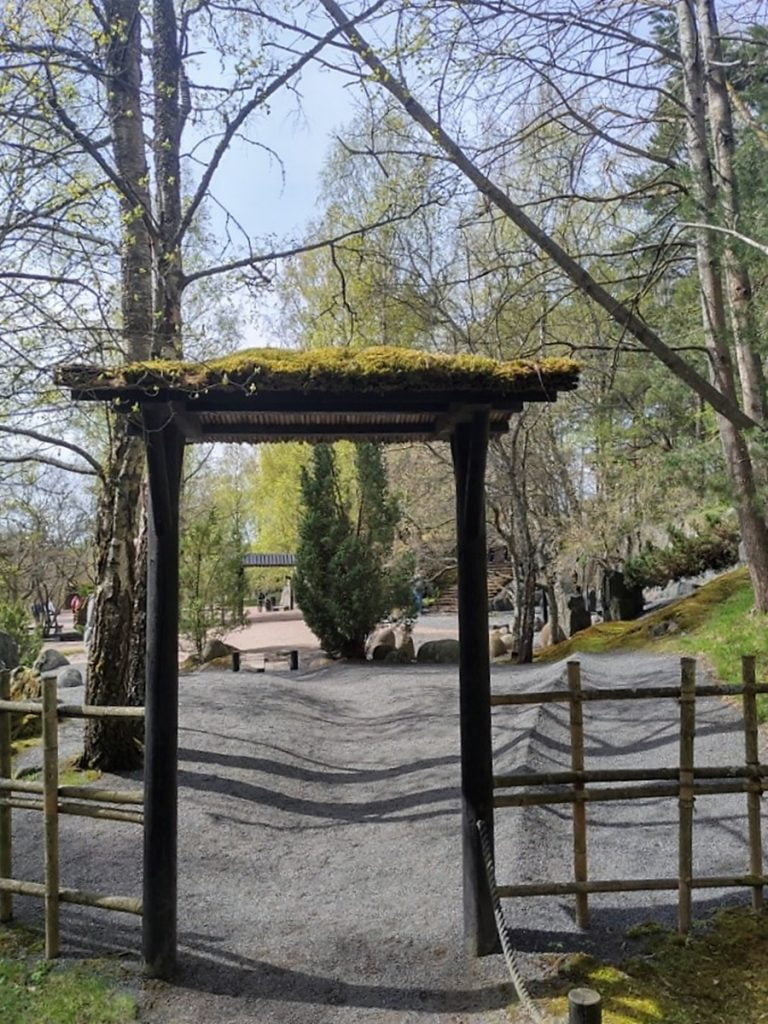 Kirsikankukkien aikaan - Roihuvuoren kirsikkapuisto ja japanilainen puisto