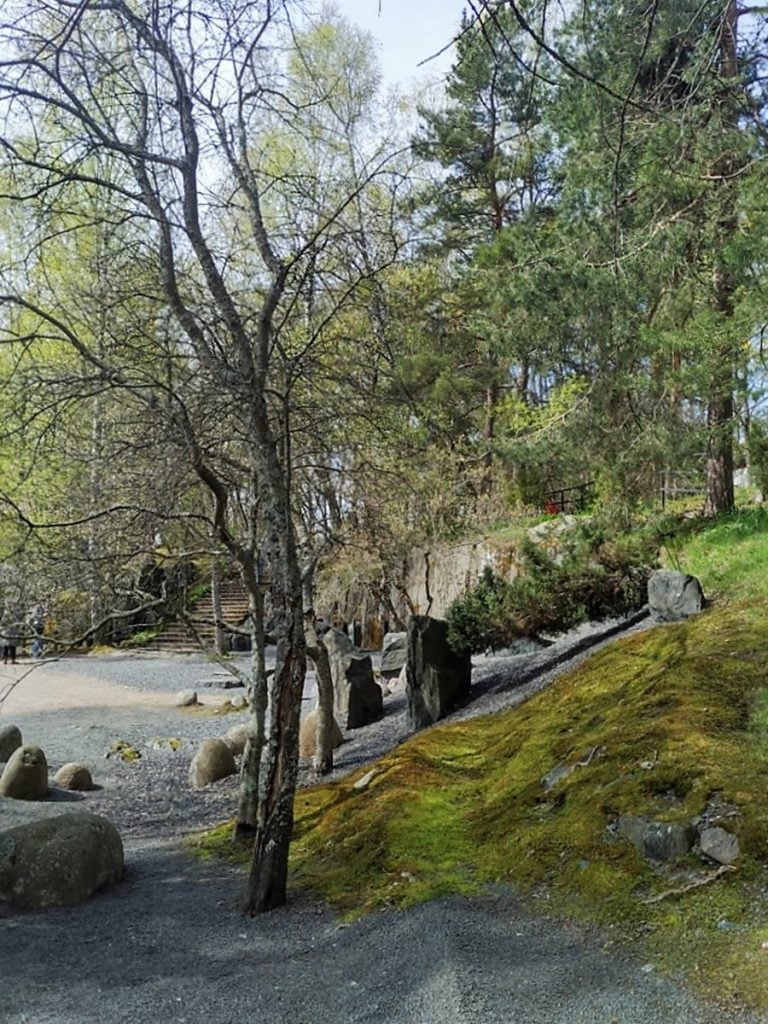 Kirsikankukkien aikaan - Roihuvuoren kirsikkapuisto ja japanilainen puisto