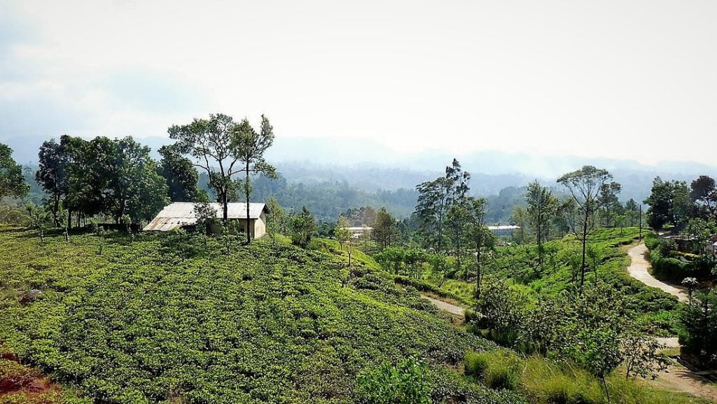 Junalla Sri Lankassa - Kandysta Ellaan