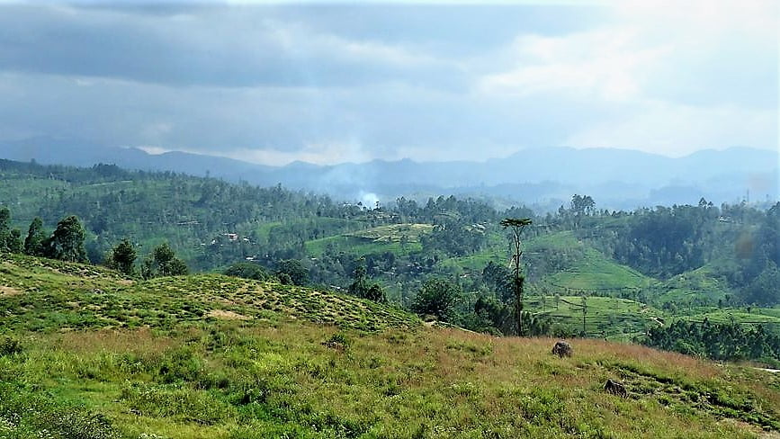 Junalla Sri Lankassa - Kandysta Ellaan