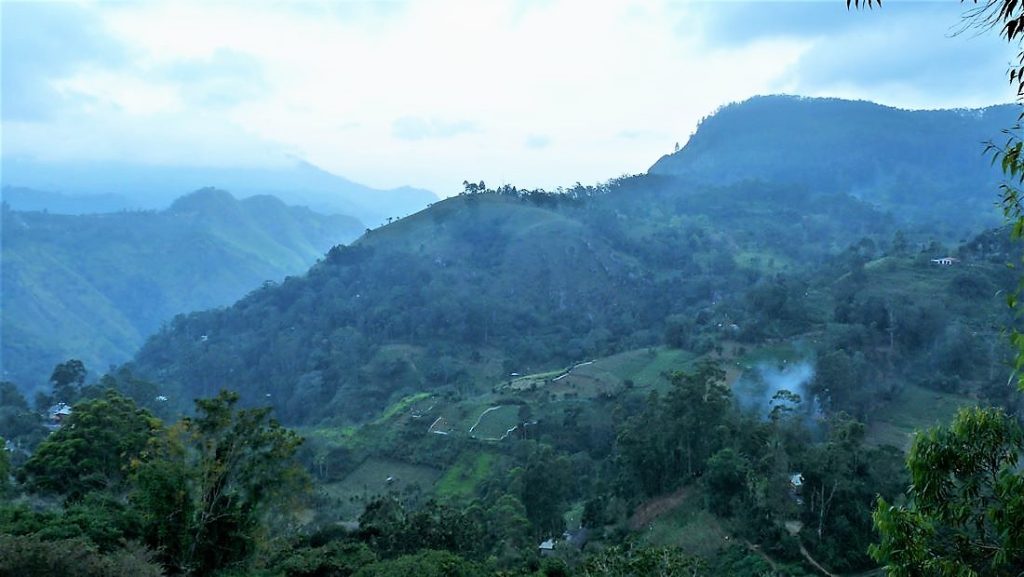 Sri Lanka Will Guest Homestay   