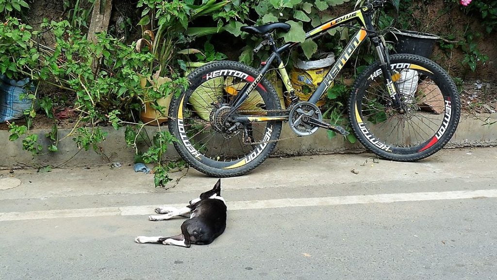 Sri Lanka - Ellan pieni kaupunki