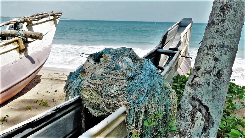 Kohti avaraa maailmaa Tangalle