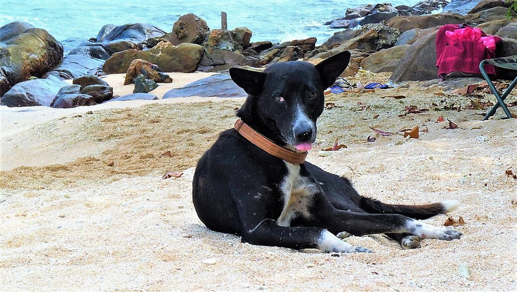 Tangalle Kohti avaraa maailmaa