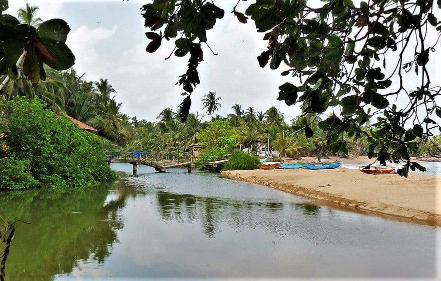 Silta Tangalle Kohti avaraa maailmaa