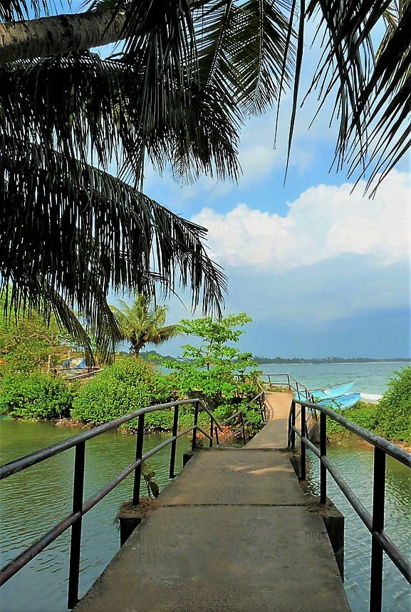 Kohti avaraa maailmaa Tangalle