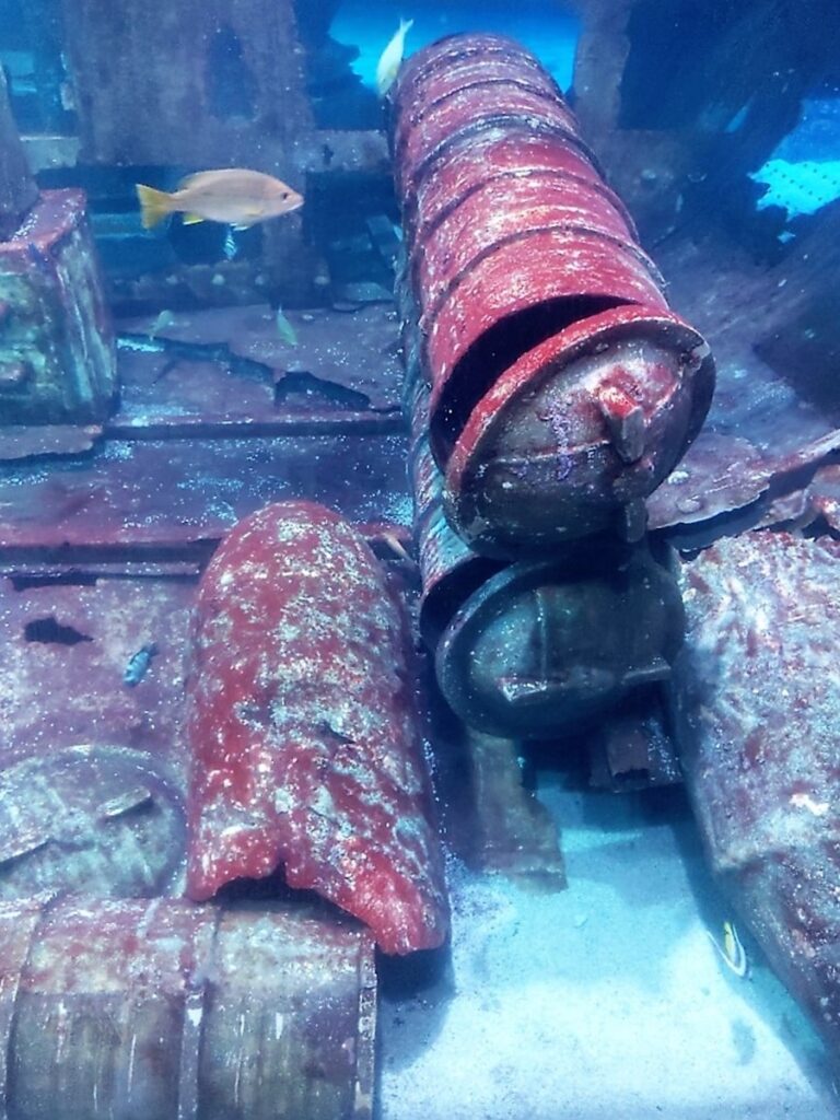 Meditatiivinen Aquaria Phuket