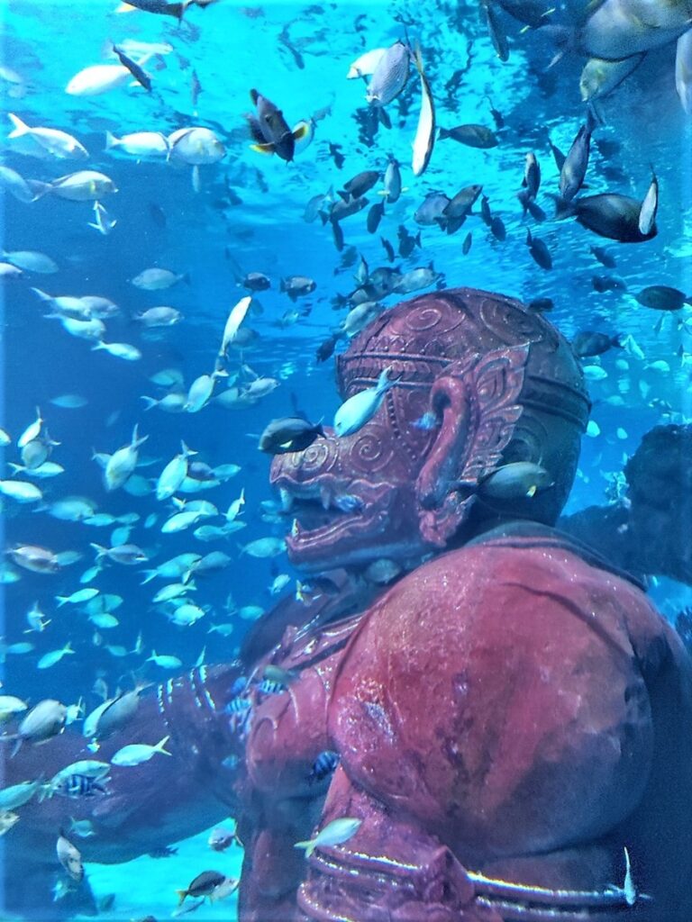 Aquaria Phuket patsas