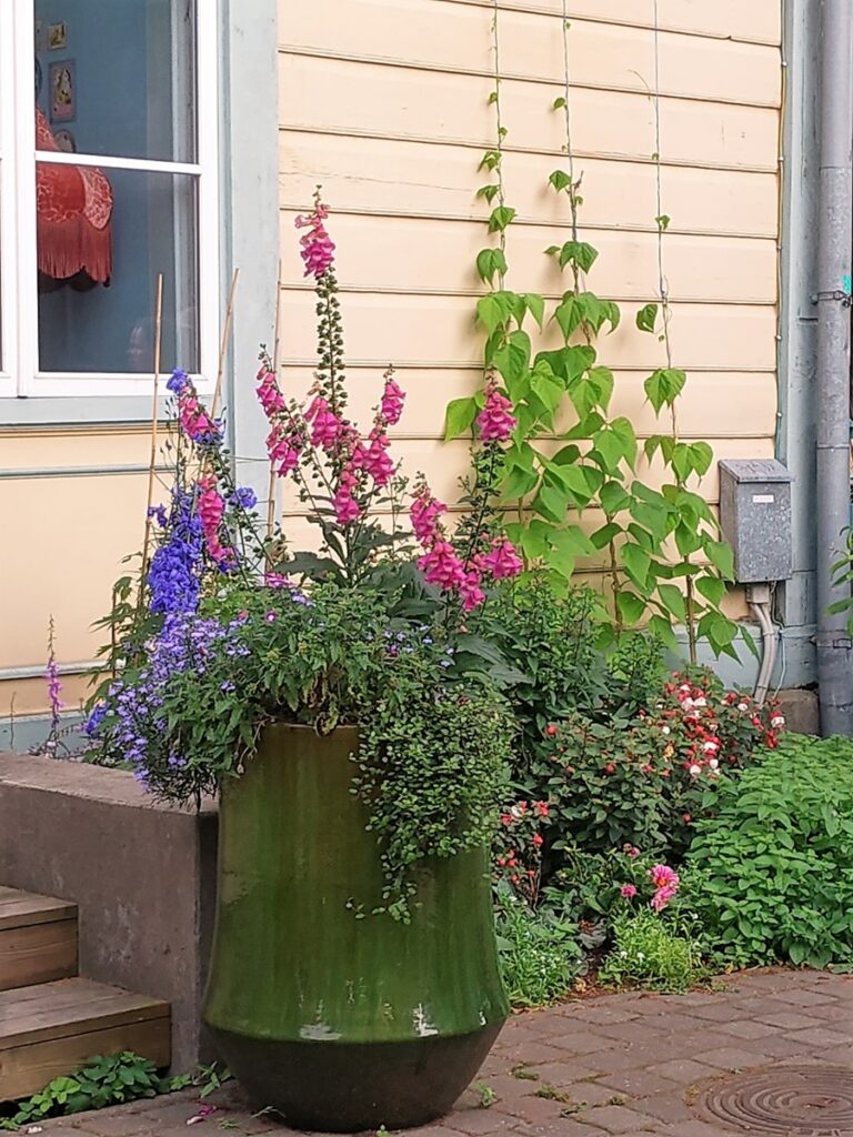 Supelsaksad - Kohti avaraa maailmaa