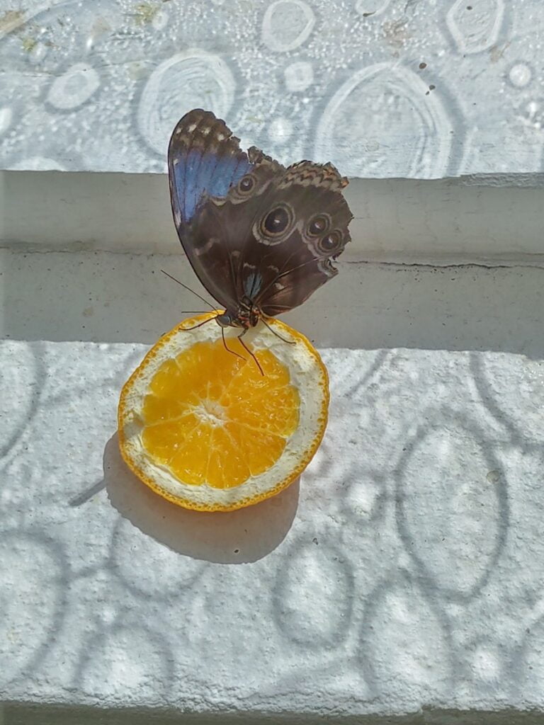 Perhostalo Pärnu - Kohti avaraa maailmaa