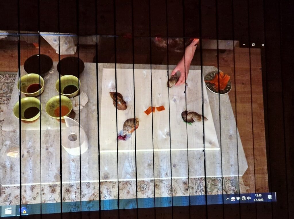 PÄÄÄÄNI! Kellokosken sairaalamuseo