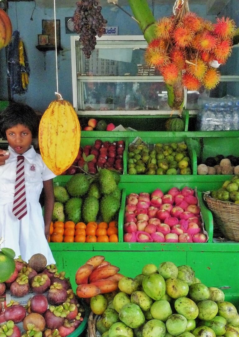 Kolme yötä Bentotassa Sri Lankassa