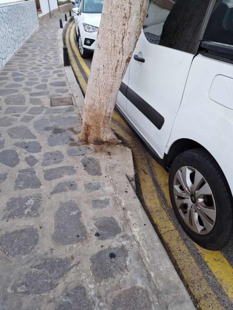 Los Gigantes - Kohti avaraa maailmaa