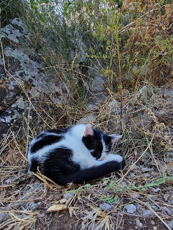Montenegro - Kotorin vanha kaupunki ja linnoitus