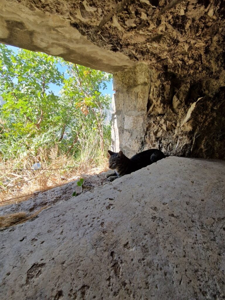 Kotor - Kohti avaraa maailmaa