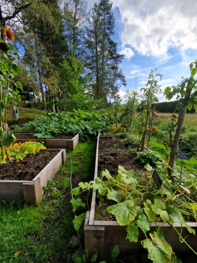 Sibeliusten Ainola Järvenpäässä