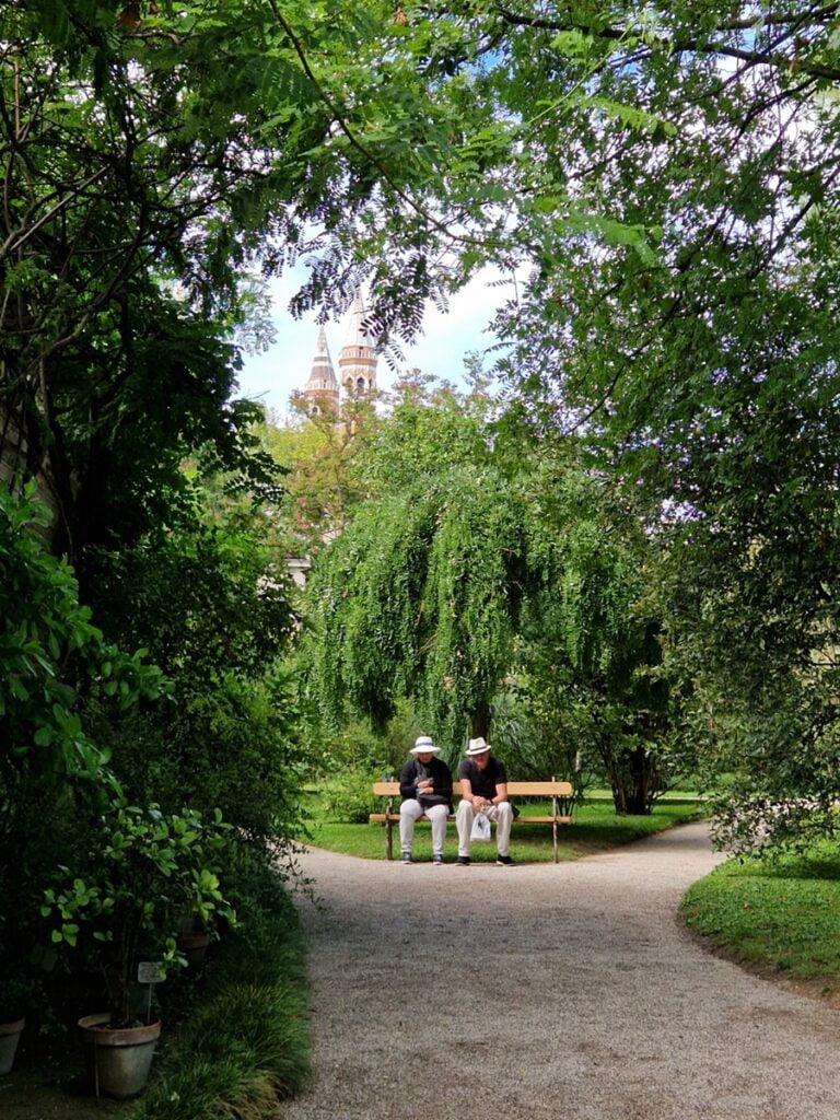 Orto Botanico - Kohti avaraa maailmaa