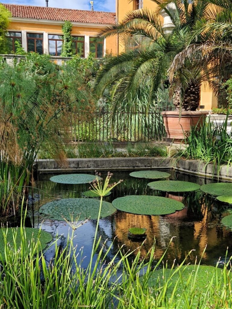 Orto Botanico - Kohti avaraa maailmaa