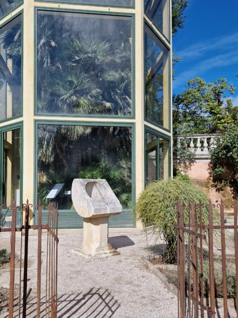 Goethe-puu - Kohti avaraa maailmaa