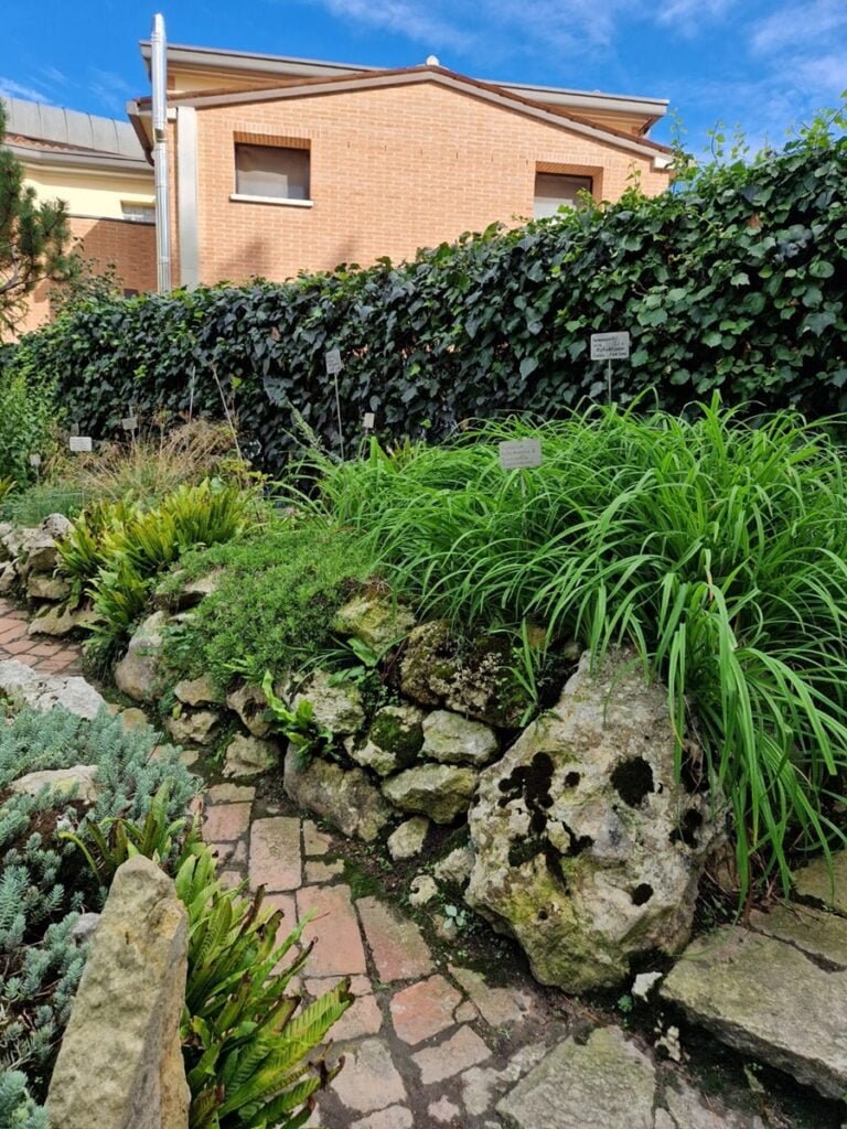 Orto Botanico - Kohti avaraa maailmaa