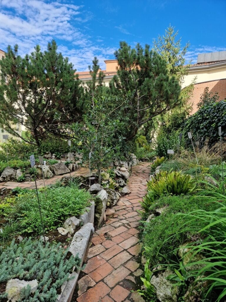 Orto Botanico - Kohti avaraa maailmaa