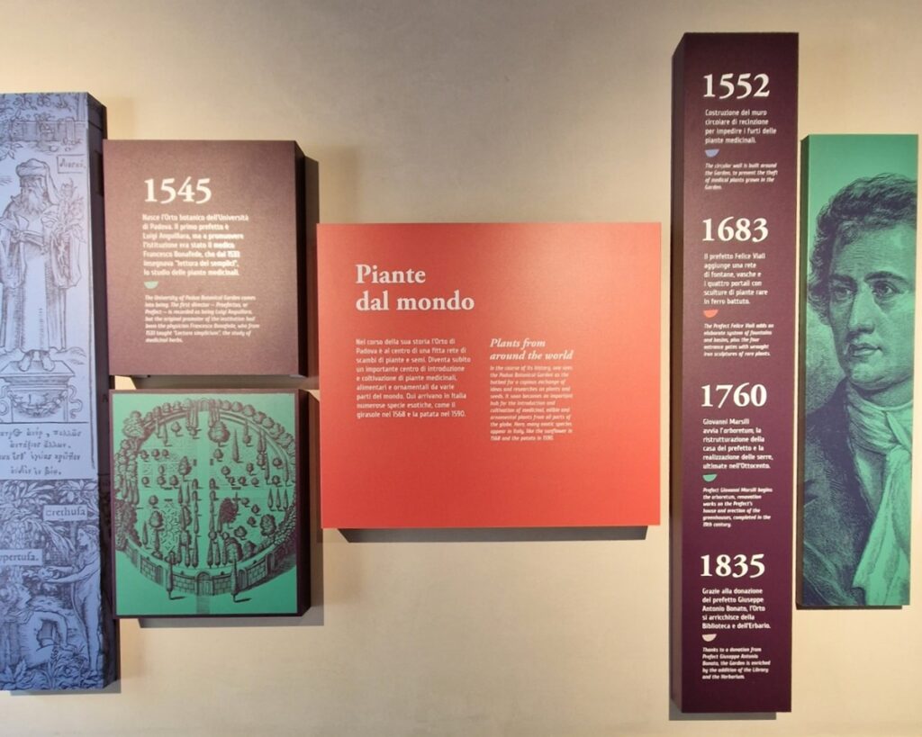 Orto Botanico - Kohti avaraa maailmaa