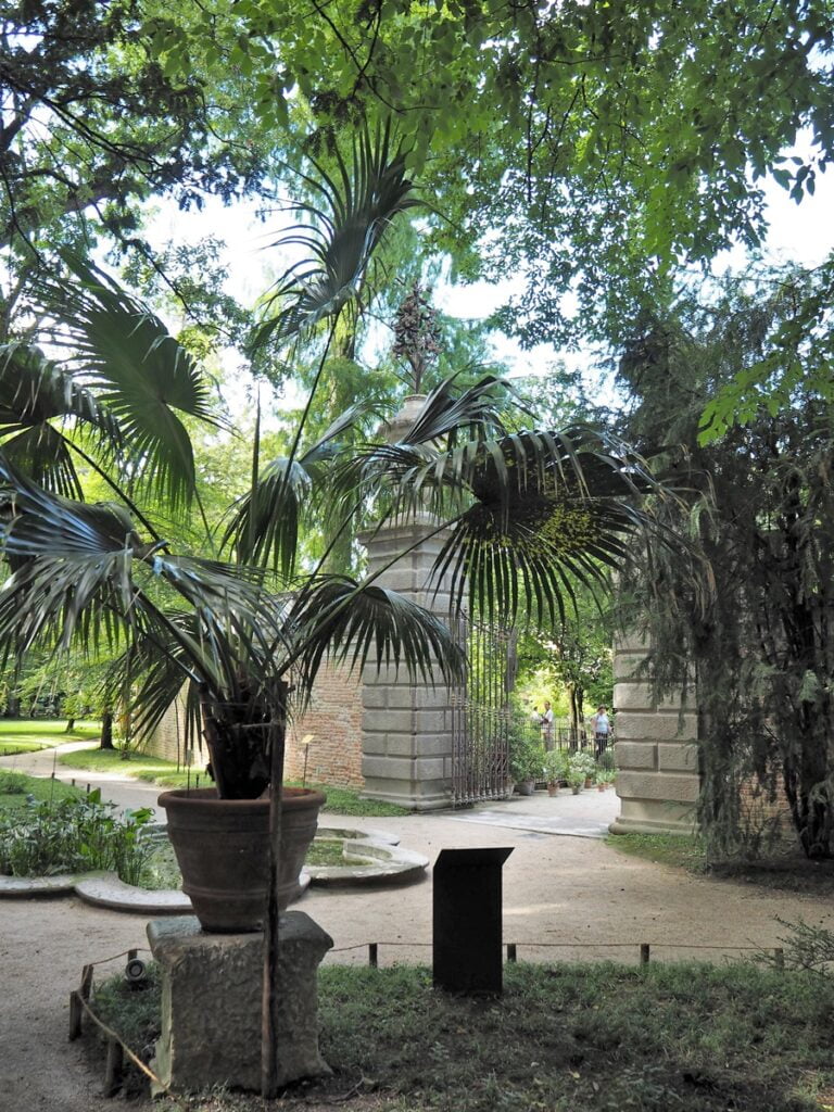 Orto Botanico - Kohti avaraa maailmaa