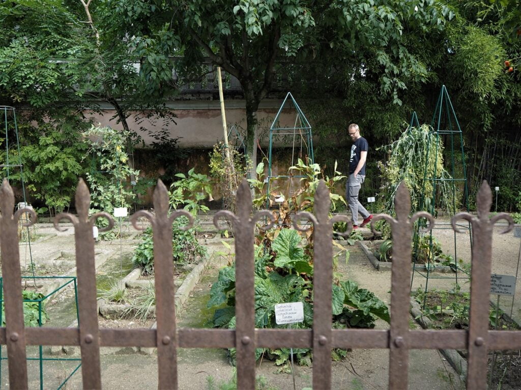 Matka aikojen yli - Padovan kasvitieteellinen puutarha Orto Botanico