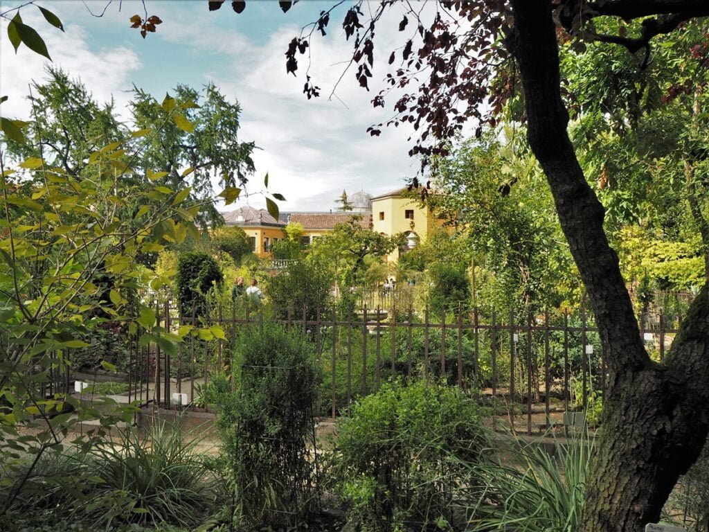 Orto Botanico - Kohti avaraa maailmaa