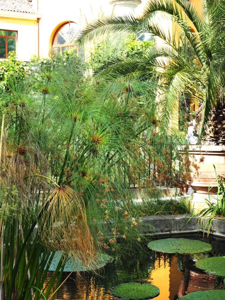 Orto Botanico - Kohti avaraa maailmaa