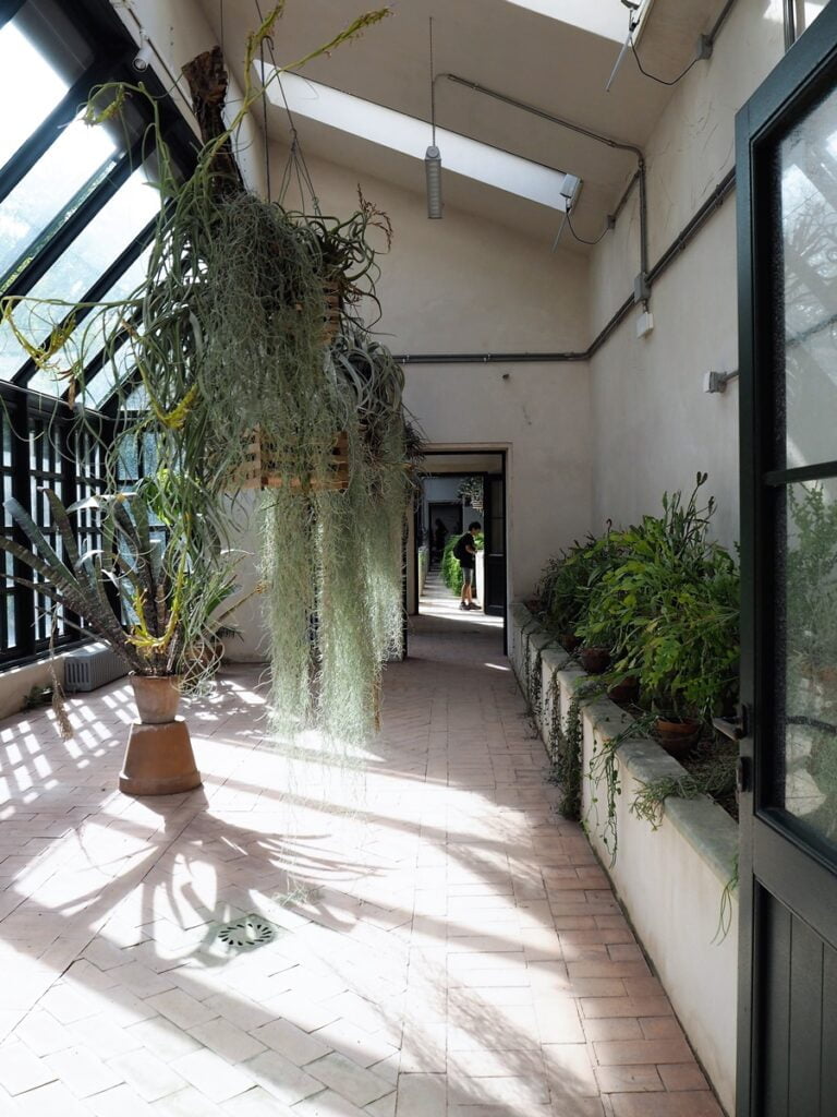 Orto Botanico - Kohti avaraa maailmaa