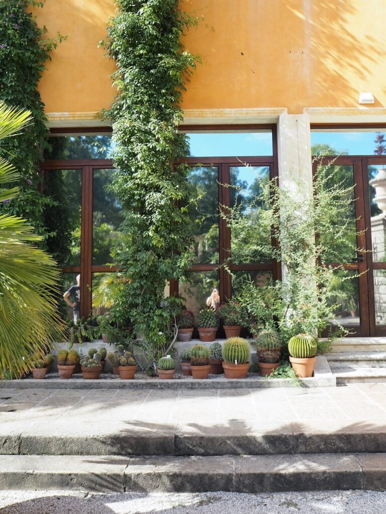 Orto Botanico - Kohti avaraa maailmaa